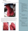 Phellogensock-sept30-11