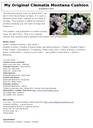 My_original_clematis