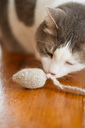 Mouse_toy_3-06723_medium2_thumb