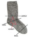 Sockanatomy_demo_thumb