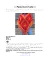 Painted_desert_poncho_patternfish_quick_view_thumb