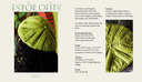 Cover_thumb