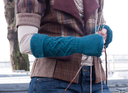 Img_5441_close_up_cropped2_720p_thumb