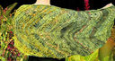 Frond_with_coleus_blog_thumb