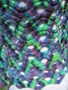 Koigu2_thumb