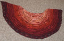 Rav_shawl_001_edited-1_thumb