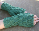 Reticulated_mitts_thumb