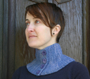 Transversecollar2_thumb