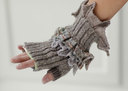 A015dragonpaw1_thumb