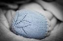 Img_3419low_res_thumb