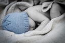 Img_3533low_res_thumb