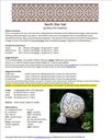 North_star_hat_data_page_thumb