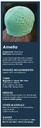 Cey-9199-amelia
