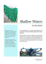 Shallowfront_thumb