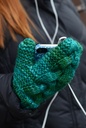 Dec1-mitten1_thumb